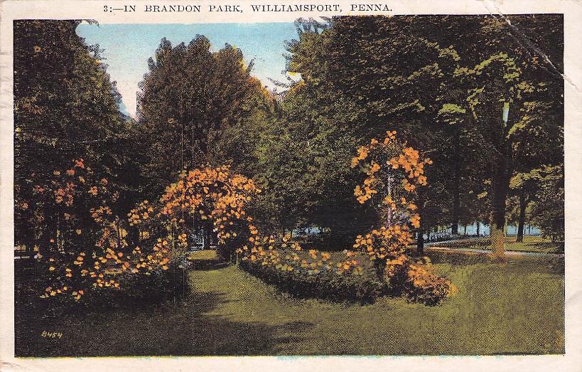 Lycoming County, PA (37 items)