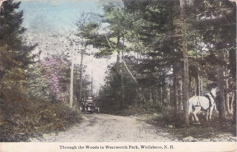 Carroll County, NH (30 items)