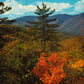 Yancey County, NC (15 items)