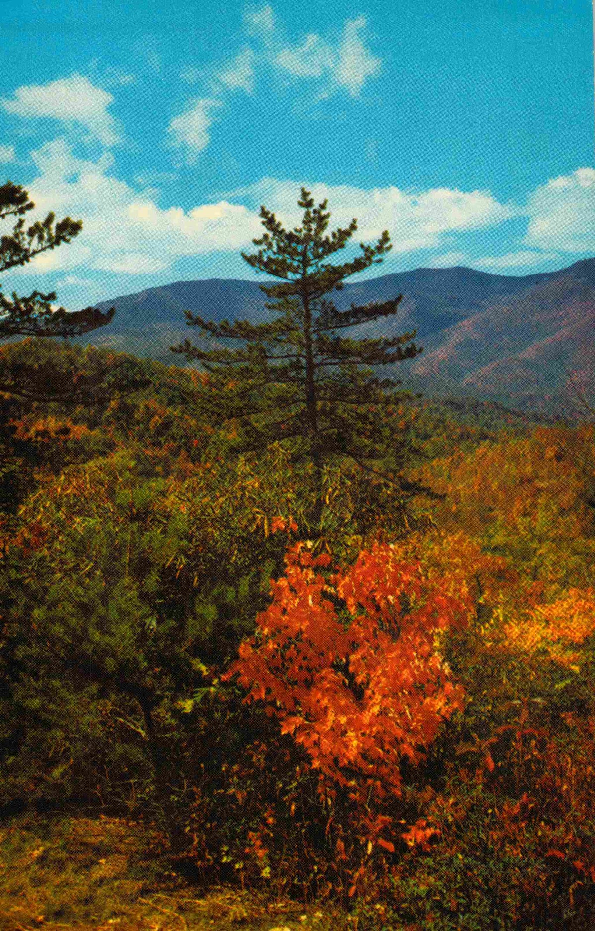 Yancey County, NC (15 items)