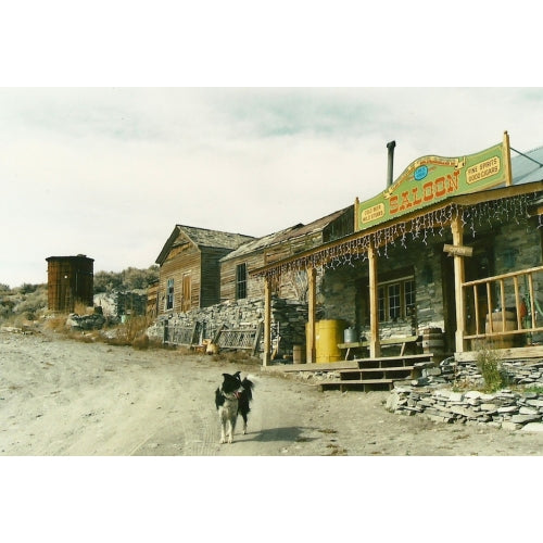 These buildings were built 1867-1874.  The saloon is still sometimes open for business. The other buildings may have been used as professional office buildings.  In the foreground: Charlie enjoyed visiting many ghost towns with the author